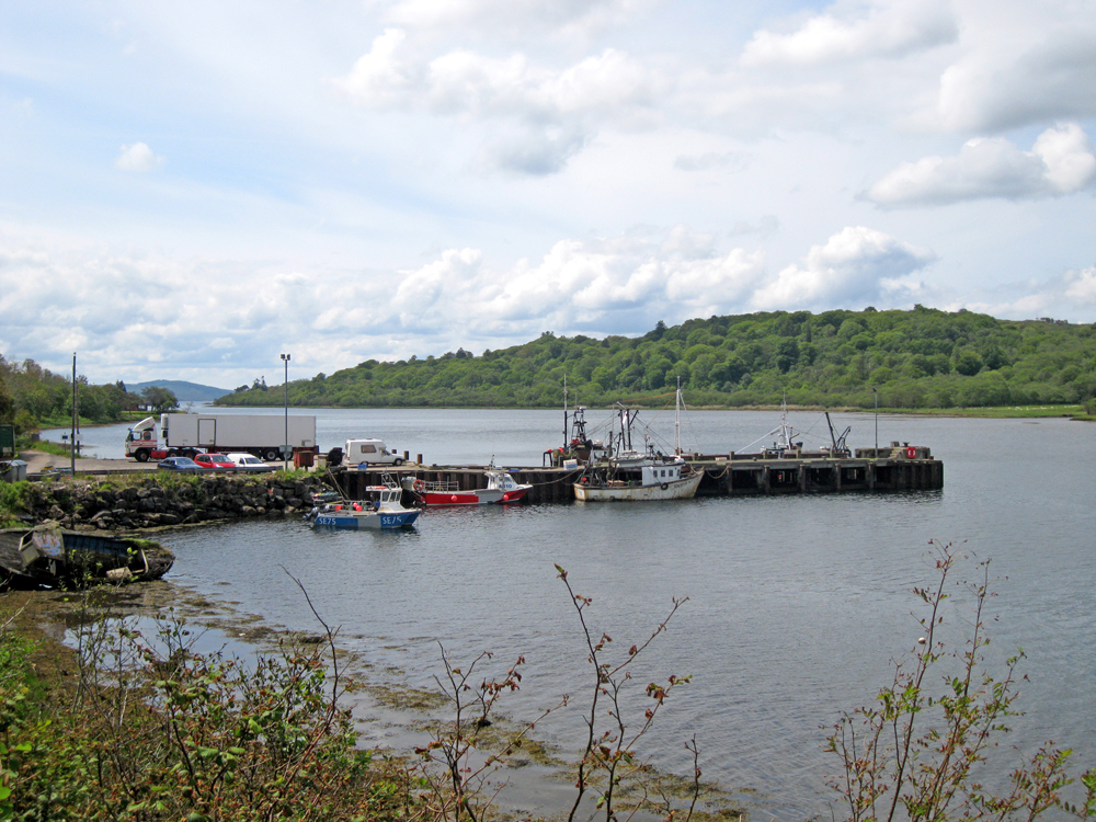 West Loch Tarbert (Argyll)